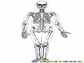 Colorear Esqueleto Humano