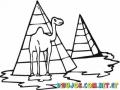 Colorear Camello En Piramides De Egipto