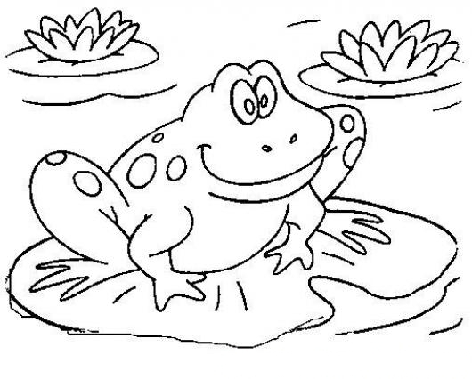 Dibujo Para Toddlers De Una Rana Flotando En Un Estanque