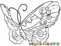mariposa volando para colorear