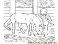 Dibujo D Eun Chico Alimentando A Su Caballo Pony