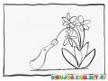 Dibujo De Un Pato Chupando Flores Para Colorear