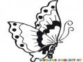 Mariposa De 4 Puntos Para Colorear