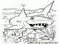 Dibujo De Tiburon En El Mar Con Pulpo Cangrejo Y Concha Para Colorear