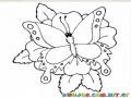 mariposa sobre una flor para dibujar