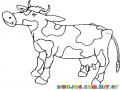 Colorear Vaca Lechera Trompuda