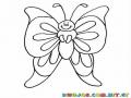 mariposa de grandes y laragas alas para dibijar