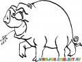 Cool Pig Coloring Page Dibujo De Cerdo Coqueto