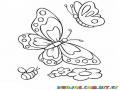 mariposas y abeja para colorear