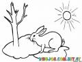 Clorear Conejo Bajo El Sol