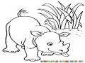 Colorear Rinocerontito Con Leguita De Fuera