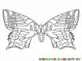 mariposa con alas grandes para dibujar
