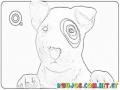Target Dog Coloring Page