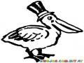 Pelicano Con Sombrero Para Colorear Y Pintar