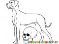 Dibujo De Un Perro Con Craneo De Muerte Para Colorear