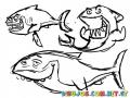 Dibujo De Tiburones 3 Tiburones Amigos Para Colorear