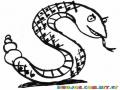 Dibujo De La Ese S De Serpiente Para Colorear