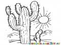 Dibujo De Cactus Nopal En Desierto Para Colorear