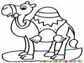Dibujo De Camellito Para Colorear