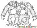 Dibujo De 2 Monos Amigos Para Pintar Y Colorear