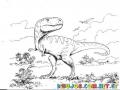 Colorear Dinosuario Rex