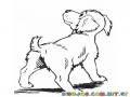 Dibujo De Perrito Mostrando La Colita Para Pintar Y Colorear