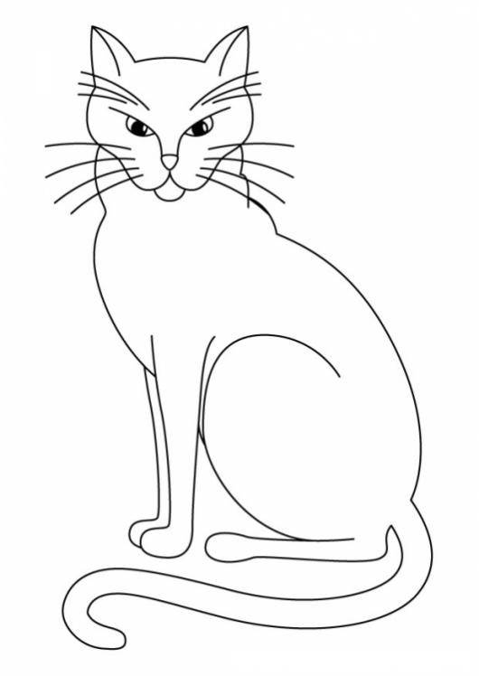 Colorear Gato Feo Pero Elegante Colorear Gatos Dibujo Para