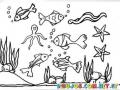 Dibujo De Animales Del Mar Para Pintar Y Colorear