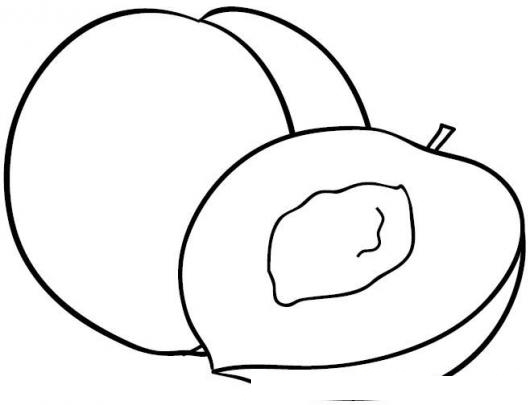Durazno Para Pintar Y Colorear Dibujos De Duraznos Colorear Dibujos De Cholo Durazno Para Pintar Y Colorear Dibujos De Duraznos Dibujosa Com