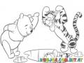 Dibujo De Winnie De Pooh Y Tiger Reflejandose En Un Charco De Agua Para Pintar Y Colorear