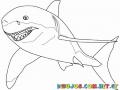 Dibujo Del Gran Tiburon Blanco Con Una Sonrisa Malvada Para Pintar Y Colorear