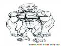 Dibujo De Mono Musculoso Para Pintar Y Colorear A Musculosito