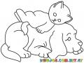 Dibujo De Gatito Durmiendo Sobre Perrito Para Pintar Y Colorear A Perro Y Gato Amigos Durmiendo Juntos