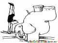 Dibujo De Elefante De Circo Equilibrista Para Pintar Y Colorear