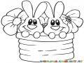 Dibujo De Dos Conejitos Metidos En Un Bote Con Dos Flores Para Pintar Y Colorear