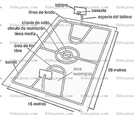Dibujo para colorear Cancha De Basquetbol Con Medidas Para Colorer Y Pintar