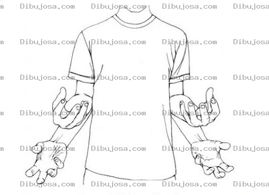 Dibujo para colorear Colorear Torso Con 4 Manos