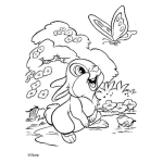 Dibujo para colorear Colorear conejito de bambi con mariposa