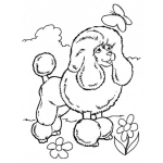Dibujo para colorear French Poodle Para Colorear Dibujo De French Pool