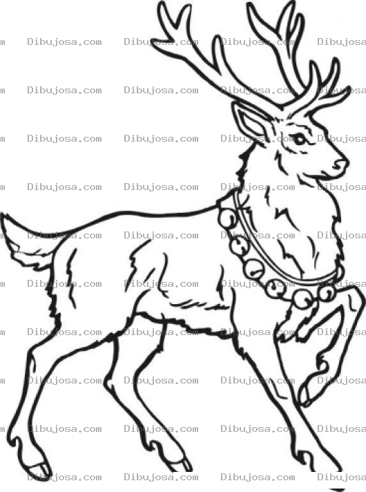 Dibujo para colorear Reno De Santa Claus Para Pintar Y Colorear
