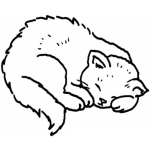 Dibujo para colorear colorear gato durmiendo