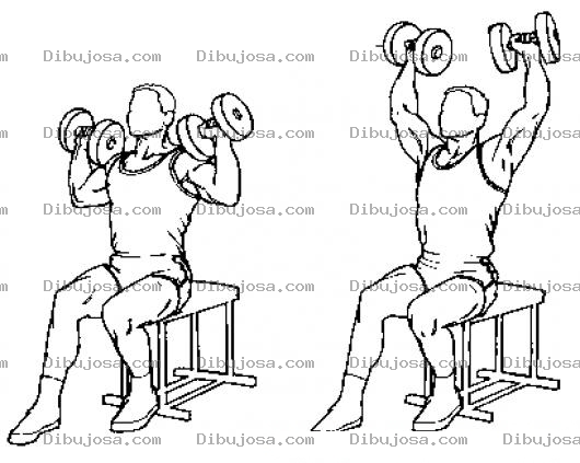 Dibujo para colorear Press Militar Dibujo De Ejecicio De Hombros Con Mancuernas