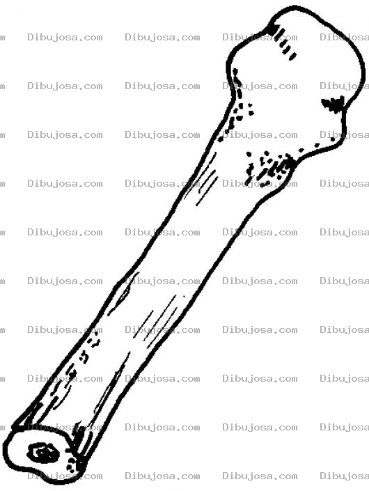 Dibujo para colorear Dibujo De Hueso Humando Para Pintar Y Colorear