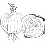 Dibujo para colorear Dibujo De Cebollas Para Colorear