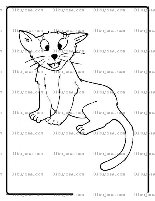 Dibujo para colorear colorear gato tuerto