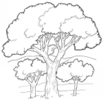 Dibujo para colorear Dibujo De Arboles Para Pintar Y Colorear