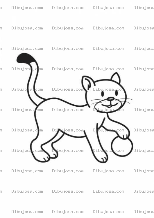 Dibujo para colorear colorear gato con pelota
