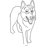 Dibujo para colorear Colorear Perro lobo