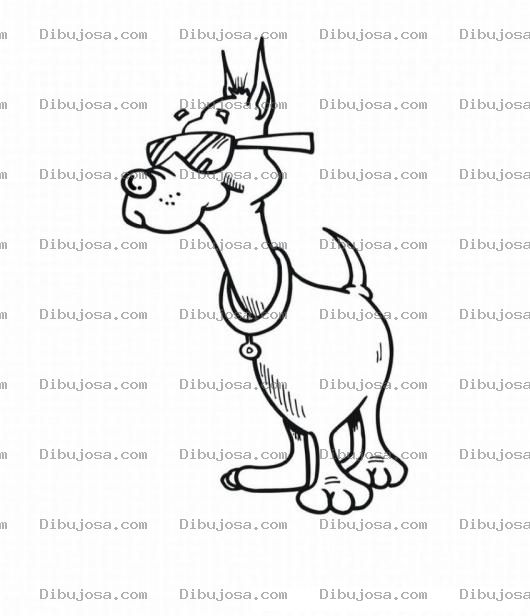 Dibujo para colorear Colorear Perro con lentes