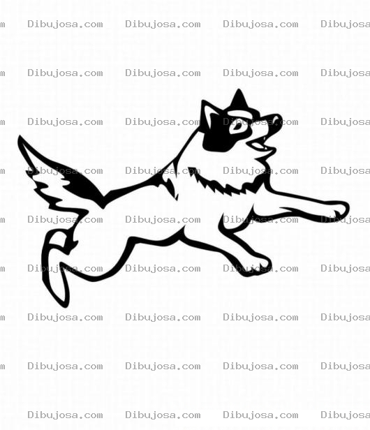 Dibujo para colorear Pintar Perro Esquimal